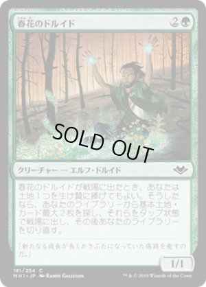 画像1: 【FOIL】春花のドルイド/Springbloom Druid [MH1-A15JPC]