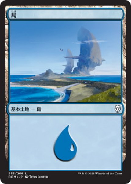 画像1: 【FOIL】島/Island ＃255 [DOM-078JPB] (1)